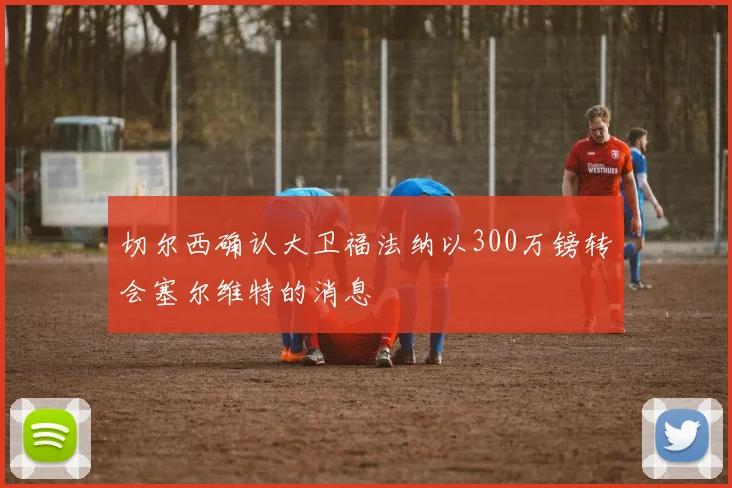 切尔西确认大卫福法纳以300万镑转会塞尔维特的消息